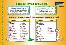 Звонкія і глухія зычныя гукі. Цвёрдыя і мяккія зычныя гукі 